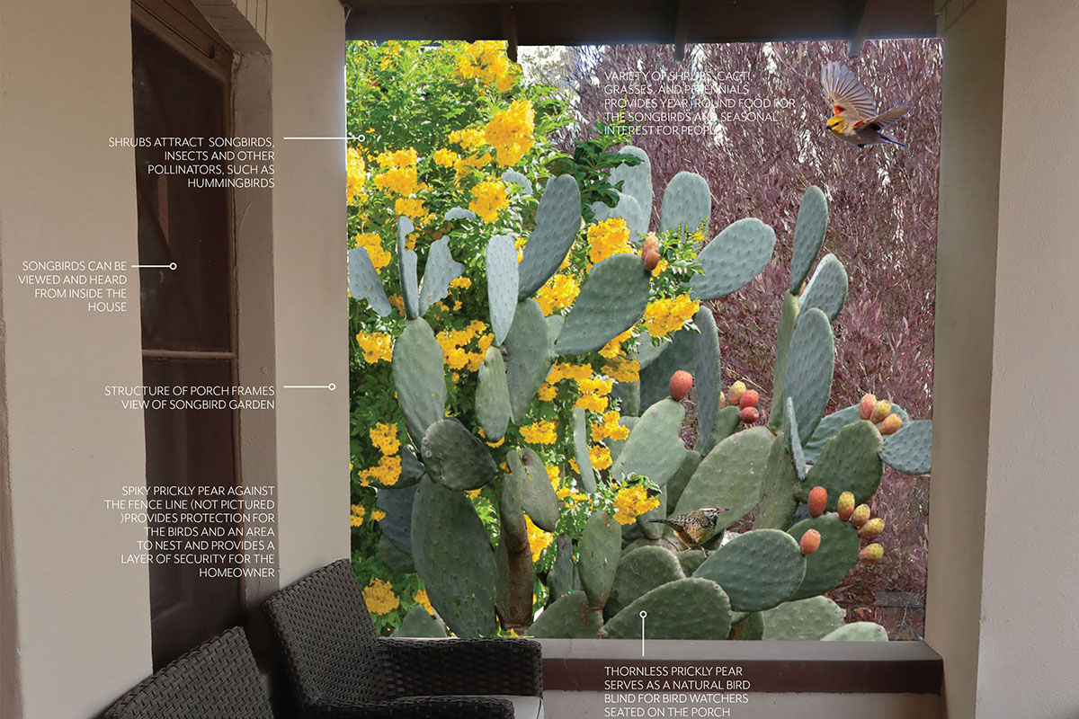 Songbird porch rendering